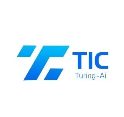 香港的TIC(Turing-Ai)为什么现在这么火