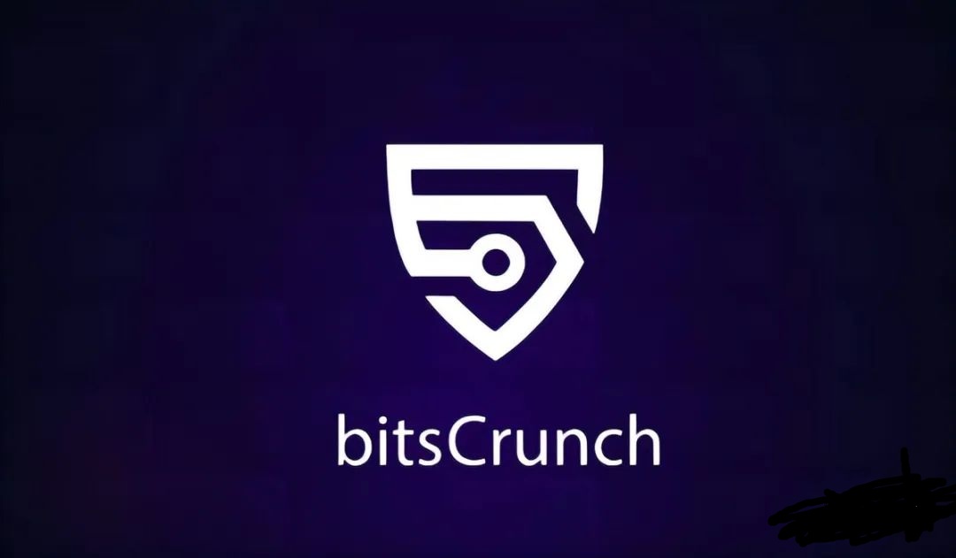 CoinList 最新项目 BitsCrunch是不是NFT的侦探